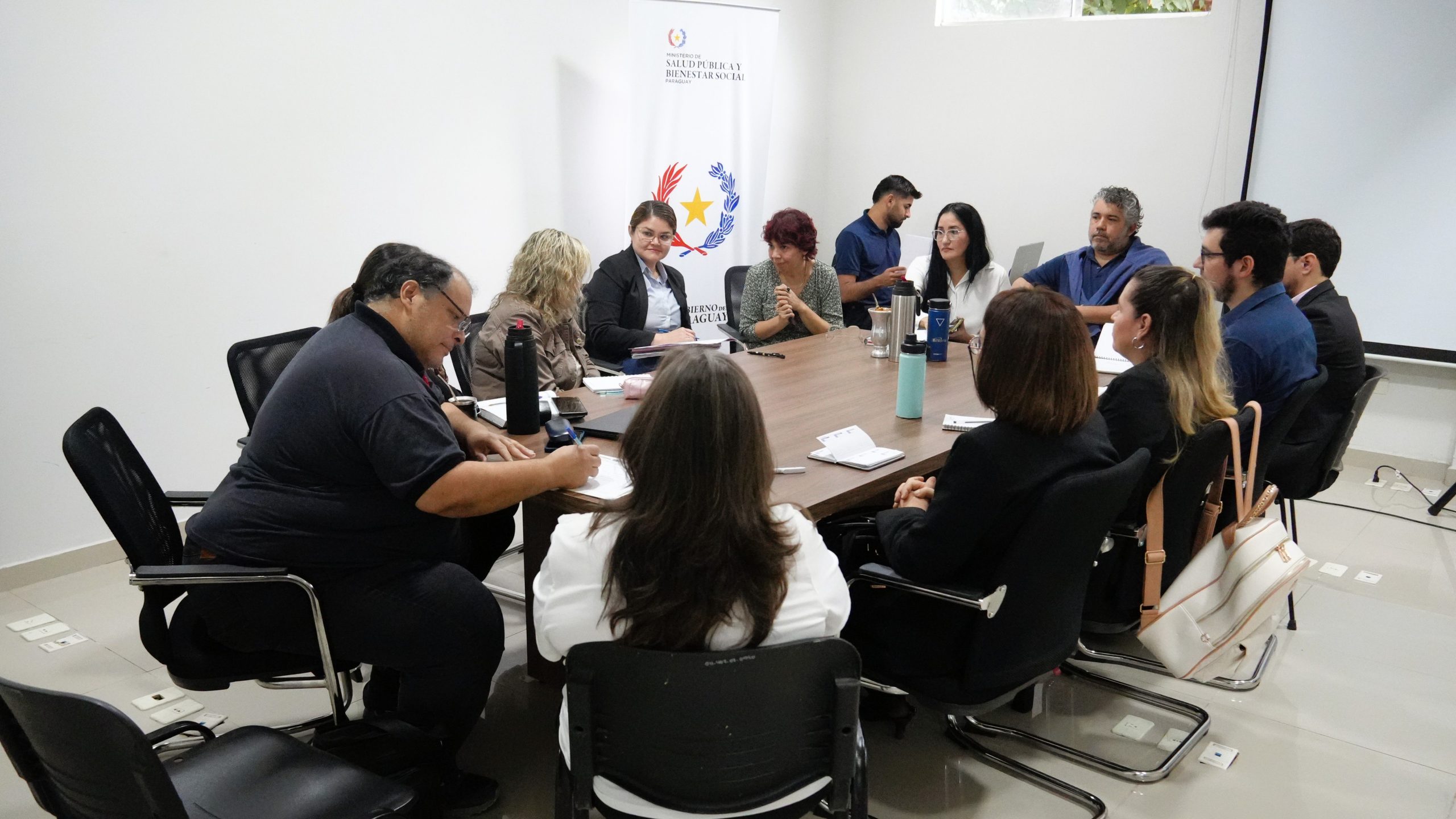 Primera reunión para el Diagnóstico Situacional de la carrera de Farmacia en Paraguay