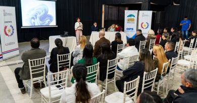 Talleres territoriales fortalecieron las Redes Integradas e Integrales de Servicios de Salud – RIISS y los Equipos Interprofesionales de Salud – EqIPS en seis regiones del país.